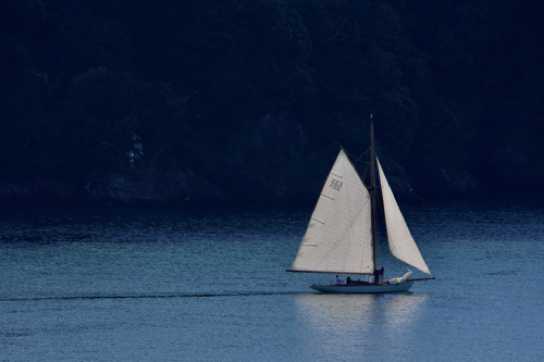 14 June 2022 - 07-47-01
The rather beautiful classic yacht Cynthia (sail number 223) heading out of Dartmouth for an early sail.
-------------------
Classic yacht Cynthia in Dartmouth